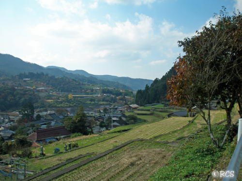星野村の風景