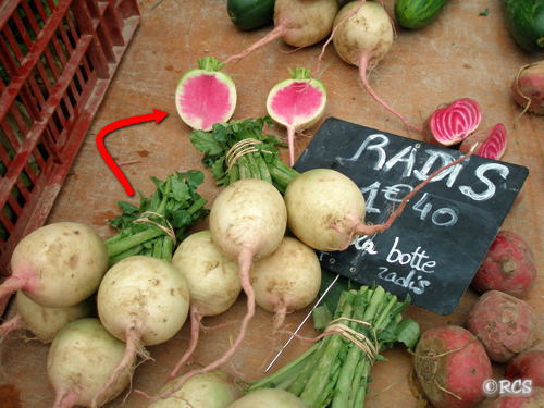 radis chinois
