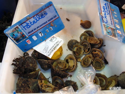 フジツボみたいな貝は アワビの味だった エスカルゴの国から