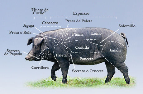 Porc ibérique : jamon, secreto, presa, pluma, etc... - SAVEUR PASSION